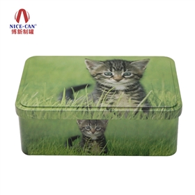 綠色環保鐵盒包裝 綠色環保鐵盒包裝